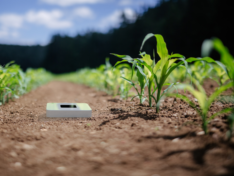 photo of soil moisture sensor